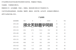 XFB后傾高壓雙進(jìn)風(fēng)風(fēng)輪